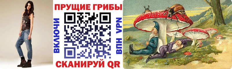 Псилоцибиновые грибы мицелий  дарнет шоп  Янаул 